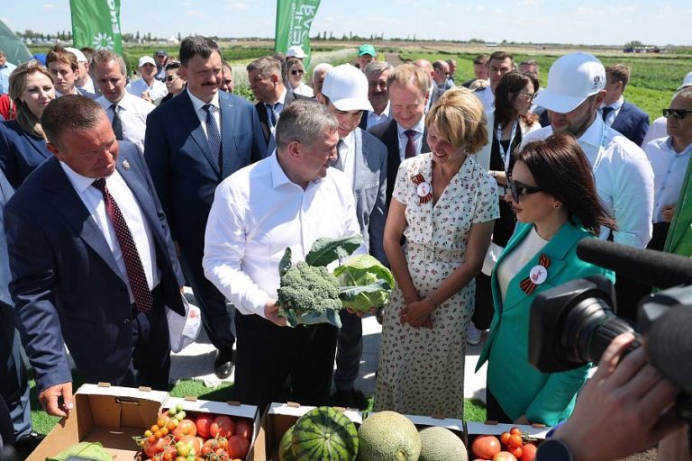 В Волгоградской области прошёл Всероссийский день поля — 2025